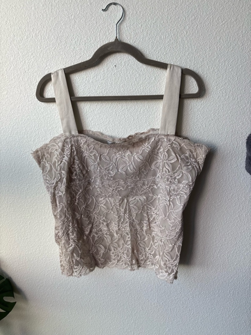 Coldwater Creek Lace Bustier Camisole in Taupe
